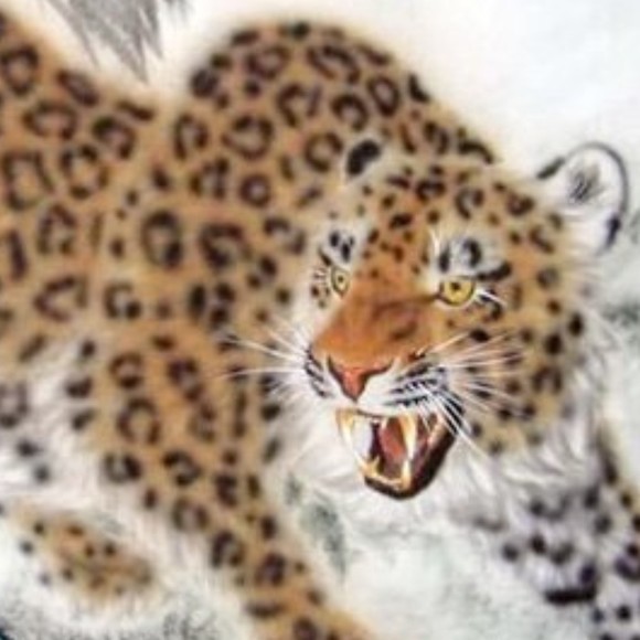 Meet your Posher, Joshua - Picture 1 of 1